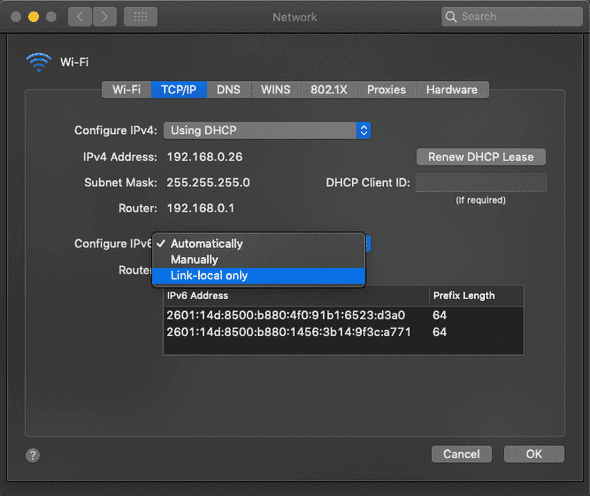 IPv6 Link-local in the settings pane